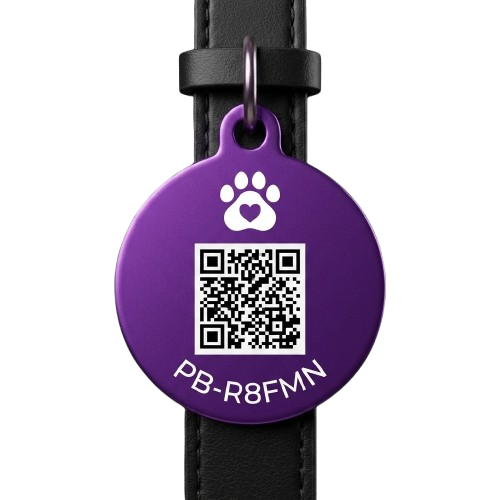 Petiqa Smart QR Tag